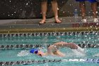 Swimming & Diving vs RWU  Swimming & Diving vs Roger Williams University. - Photo by Keith Nordstrom : Wheaton, Swimming